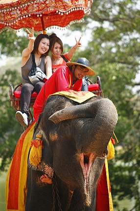 photo library in Bangkok Thailand