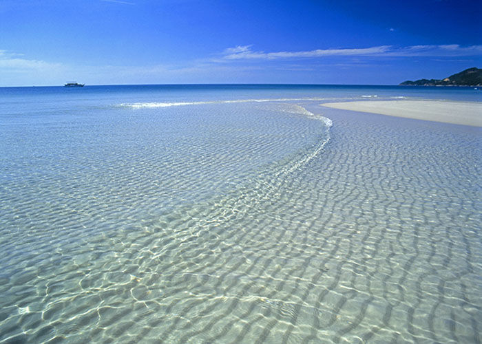 beaches
