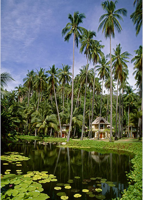 resorts