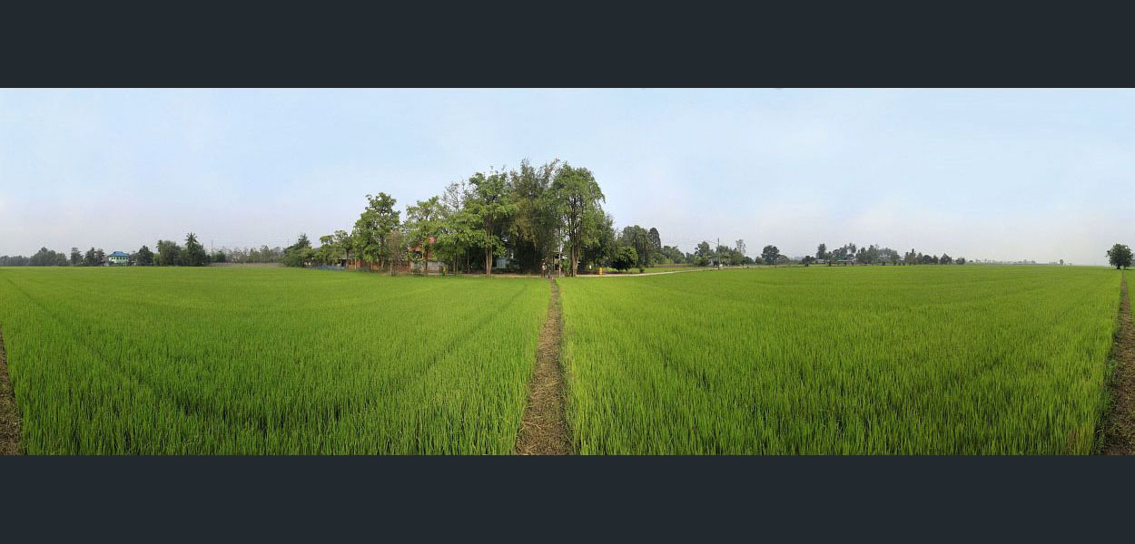 Supan Buri - Farming Land <font style='font-size:10px;color:#aaaaaa;float:right;'> picture not for sale</font>
